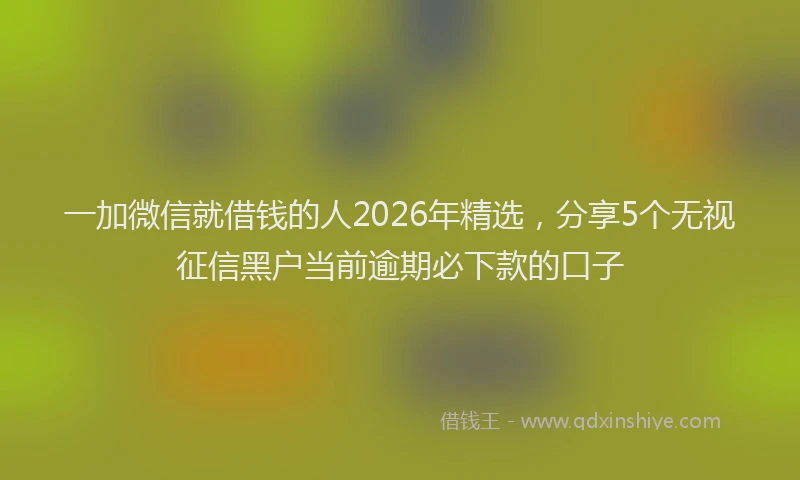 一加微信就借钱的人2026年精选，分享5个无视征信黑户当前逾期必下款的口子