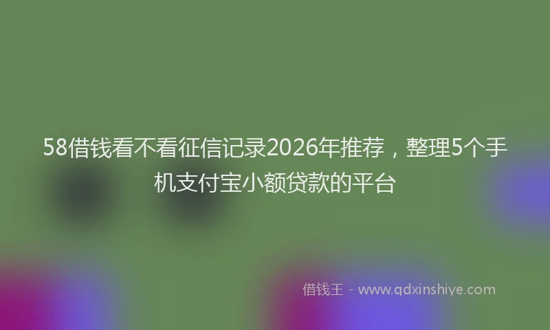 58借钱看不看征信记录2026年推荐，整理5个手机支付宝小额贷款的平台