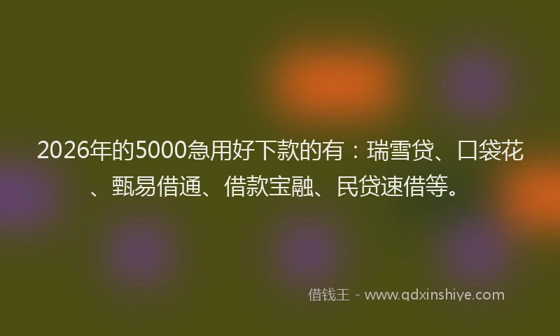 2026年的5000急用好下款的有：瑞雪贷、口袋花、甄易借通、借款宝融、民贷速借等。