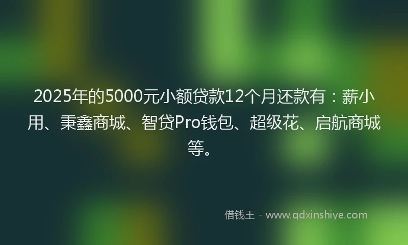 2025年的5000元小额贷款12个月还款有：薪小用、秉鑫商城、智贷Pro钱包、超级花、启航商城等。