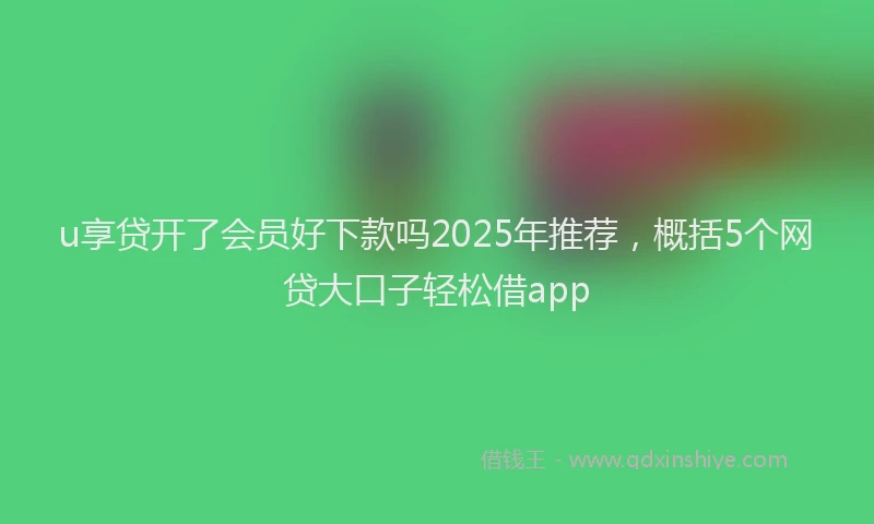 u享贷开了会员好下款吗2025年推荐，概括5个网贷大口子轻松借app