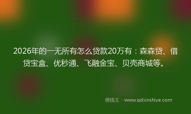 2026年的一无所有怎么贷款20万有：森森贷、借贷宝盒、优秒通、飞融金宝、贝壳商城等。