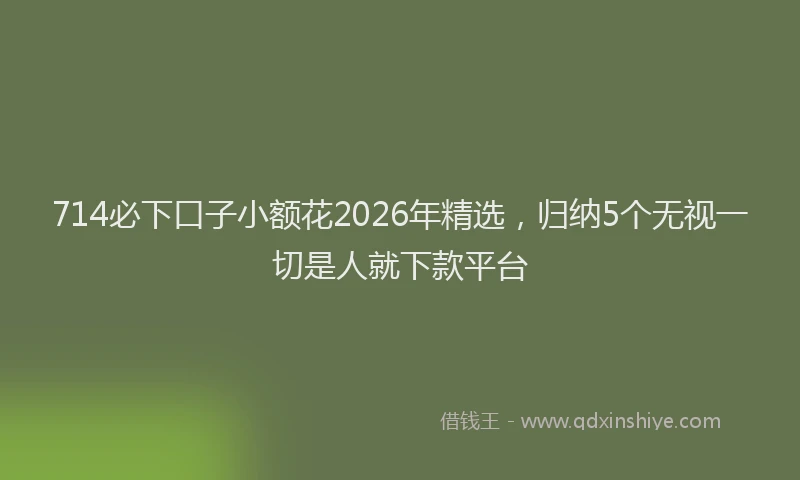 714必下口子小额花2026年精选，归纳5个无视一切是人就下款平台