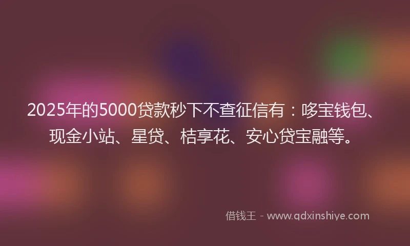 2025年的5000贷款秒下不查征信有：哆宝钱包、现金小站、星贷、桔享花、安心贷宝融等。