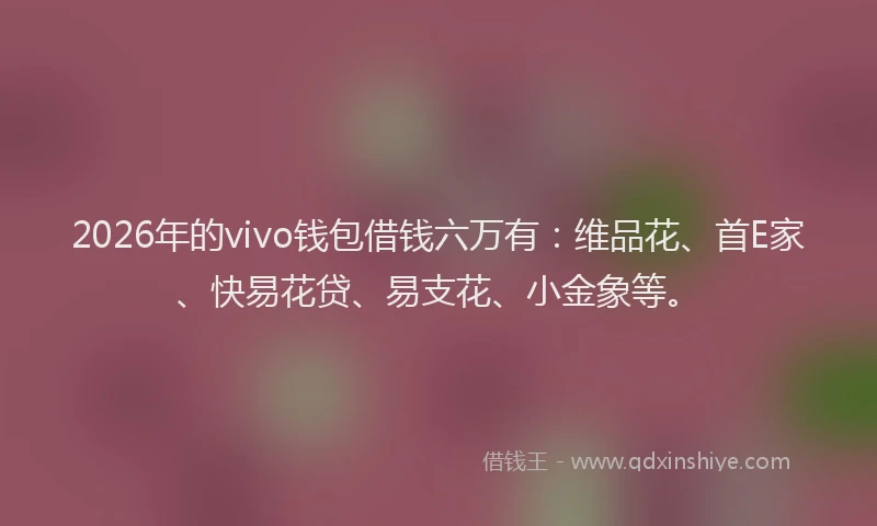 2026年的vivo钱包借钱六万有：维品花、首E家、快易花贷、易支花、小金象等。