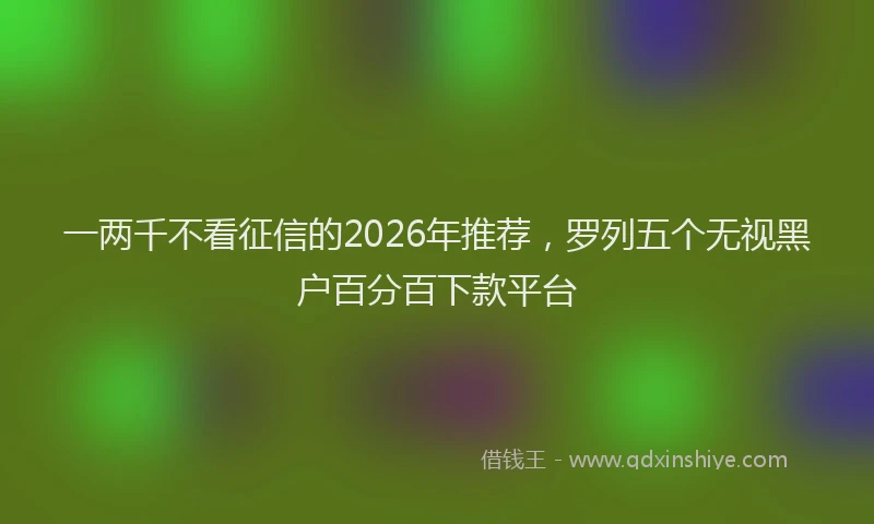 一两千不看征信的2026年推荐，罗列五个无视黑户百分百下款平台