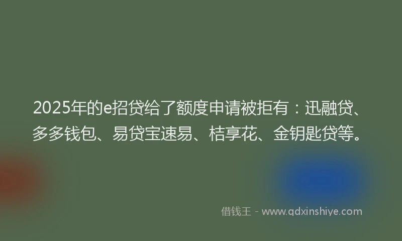 2025年的e招贷给了额度申请被拒有：迅融贷、多多钱包、易贷宝速易、桔享花、金钥匙贷等。
