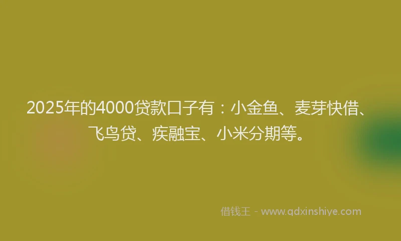 2025年的4000贷款口子有：小金鱼、麦芽快借、飞鸟贷、疾融宝、小米分期等。