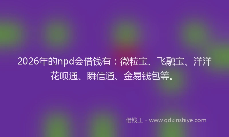 2026年的npd会借钱有：微粒宝、飞融宝、洋洋花呗通、瞬信通、金易钱包等。