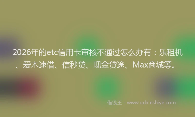 2026年的etc信用卡审核不通过怎么办有：乐租机、爱木速借、信秒贷、现金贷途、Max商城等。