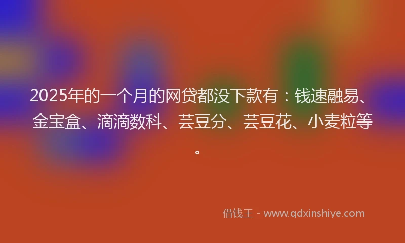 2025年的一个月的网贷都没下款有：钱速融易、金宝盒、滴滴数科、芸豆分、芸豆花、小麦粒等。