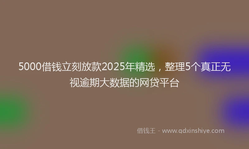 5000借钱立刻放款2025年精选,整理5个真正无视逾期大数据的网贷平台