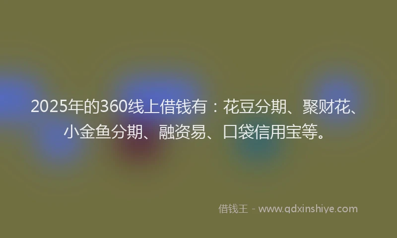 2025年的360线上借钱有：花豆分期、聚财花、小金鱼分期、融资易、口袋信用宝等。