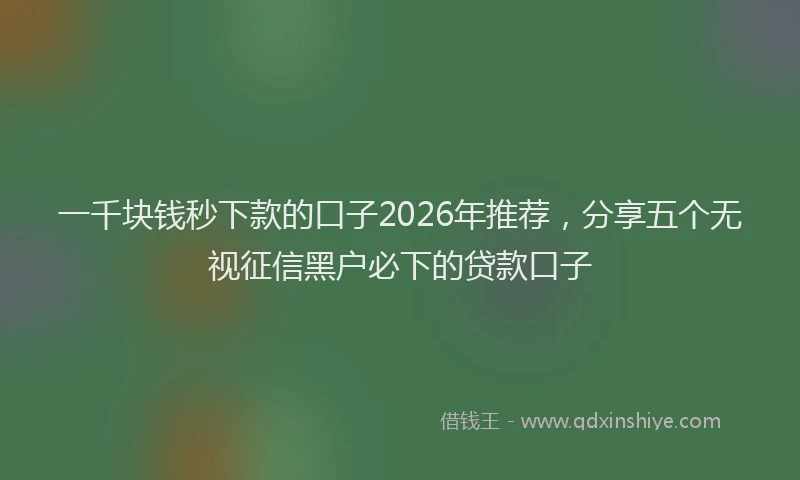 一千块钱秒下款的口子2026年推荐，分享五个无视征信黑户必下的贷款口子