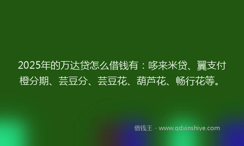 2025年的万达贷怎么借钱有：哆来米贷、翼支付橙分期、芸豆分、芸豆花、葫芦花、畅行花等。