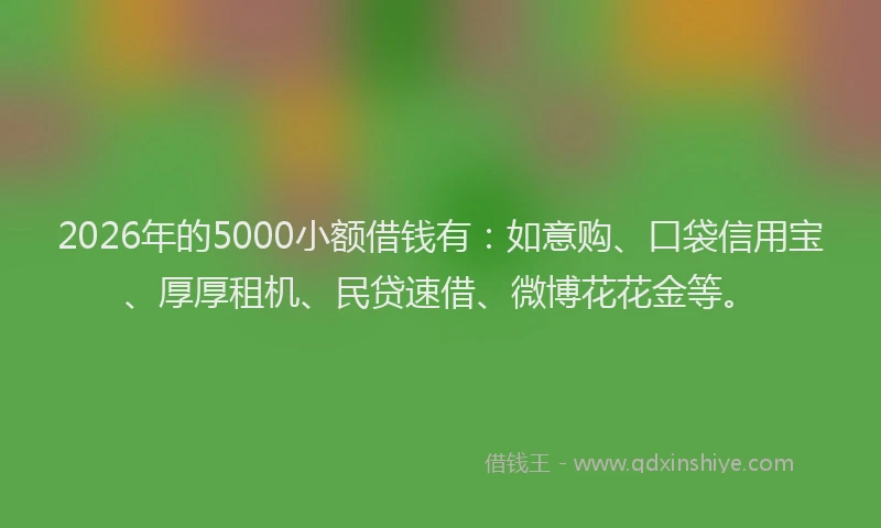 2026年的5000小额借钱有：如意购、口袋信用宝、厚厚租机、民贷速借、微博花花金等。