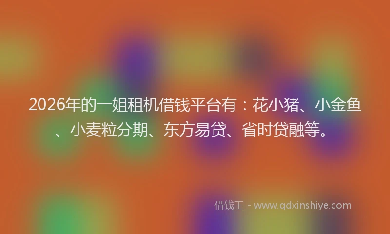 2026年的一姐租机借钱平台有：花小猪、小金鱼、小麦粒分期、东方易贷、省时贷融等。
