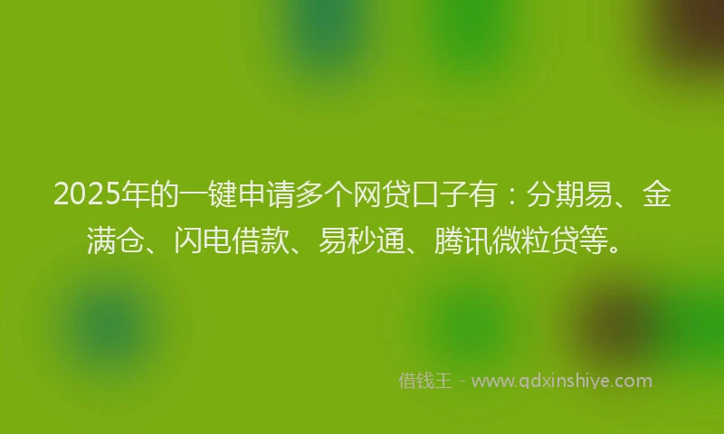 2025年的一键申请多个网贷口子有：分期易、金满仓、闪电借款、易秒通、腾讯微粒贷等。