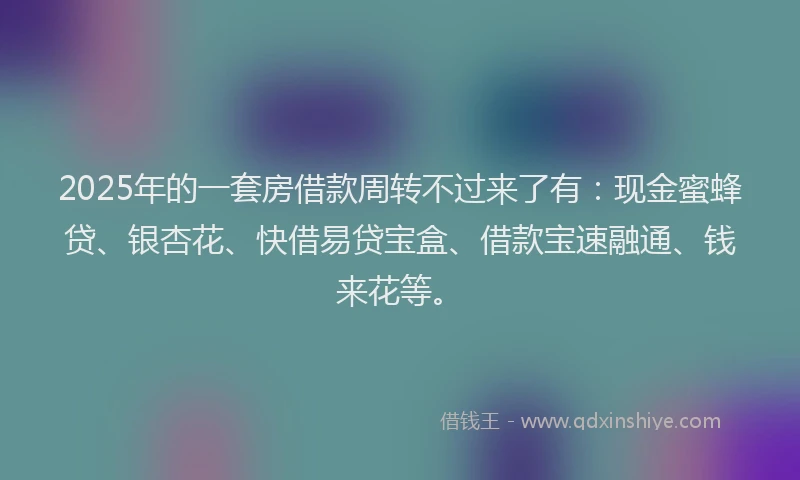 2025年的一套房借款周转不过来了有:现金蜜蜂贷、银杏花、快借易贷宝盒、借款宝速融通、钱来花等。