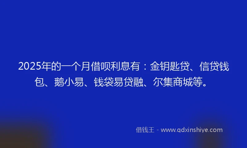 2025年的一个月借呗利息有：金钥匙贷、信贷钱包、鹅小易、钱袋易贷融、尔集商城等。