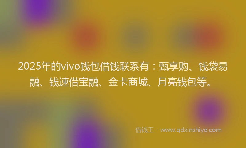 2025年的vivo钱包借钱联系有：甄享购、钱袋易融、钱速借宝融、金卡商城、月亮钱包等。