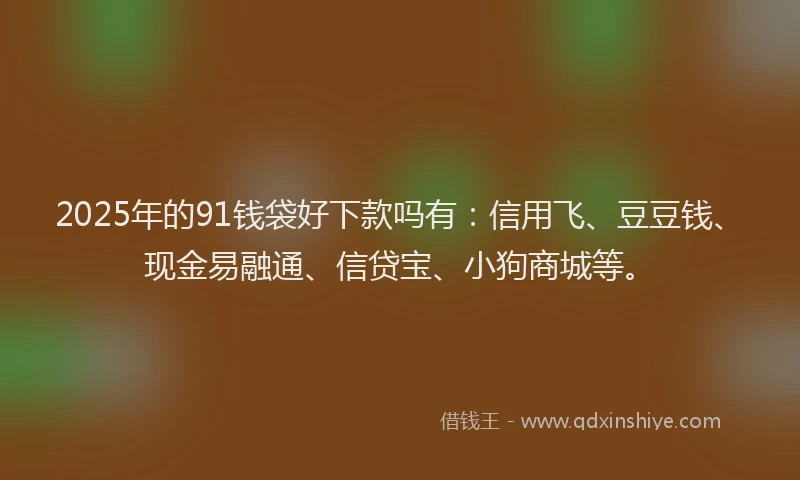 2025年的91钱袋好下款吗有：信用飞、豆豆钱、现金易融通、信贷宝、小狗商城等。