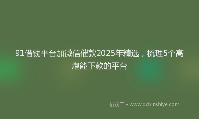 91借钱平台加微信催款2025年精选，梳理5个高炮能下款的平台