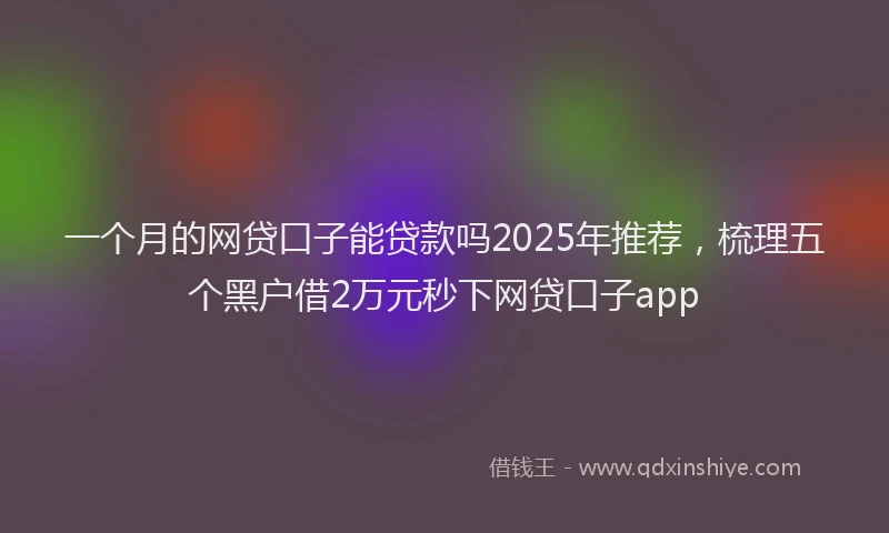一个月的网贷口子能贷款吗2025年推荐，梳理五个黑户借2万元秒下网贷口子app