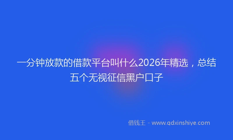一分钟放款的借款平台叫什么2026年精选，总结五个无视征信黑户口子