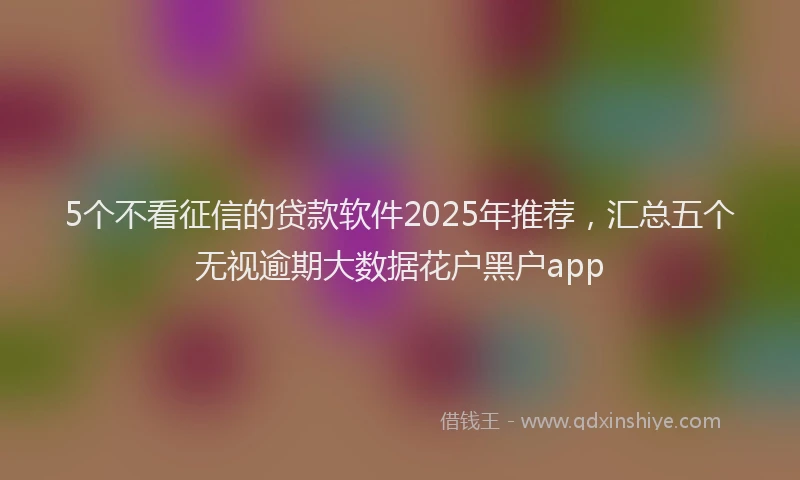 5个不看征信的贷款软件2025年推荐，汇总五个无视逾期大数据花户黑户app