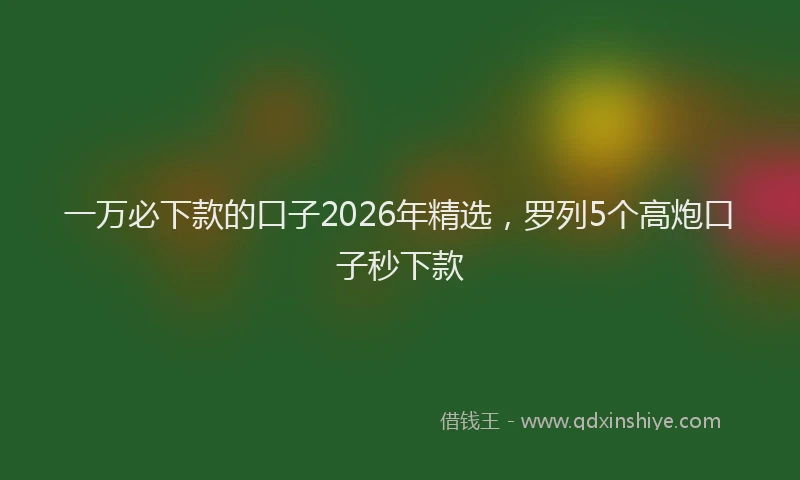 一万必下款的口子2026年精选，罗列5个高炮口子秒下款