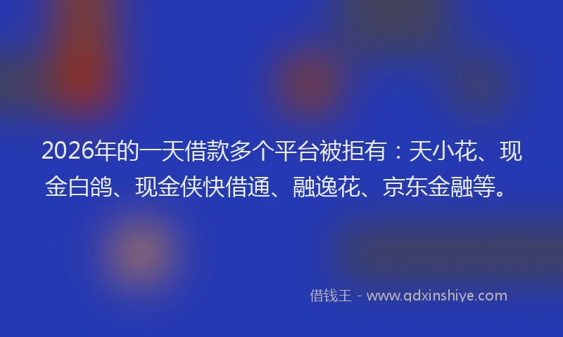 2026年的一天借款多个平台被拒有：天小花、现金白鸽、现金侠快借通、融逸花、京东金融等。