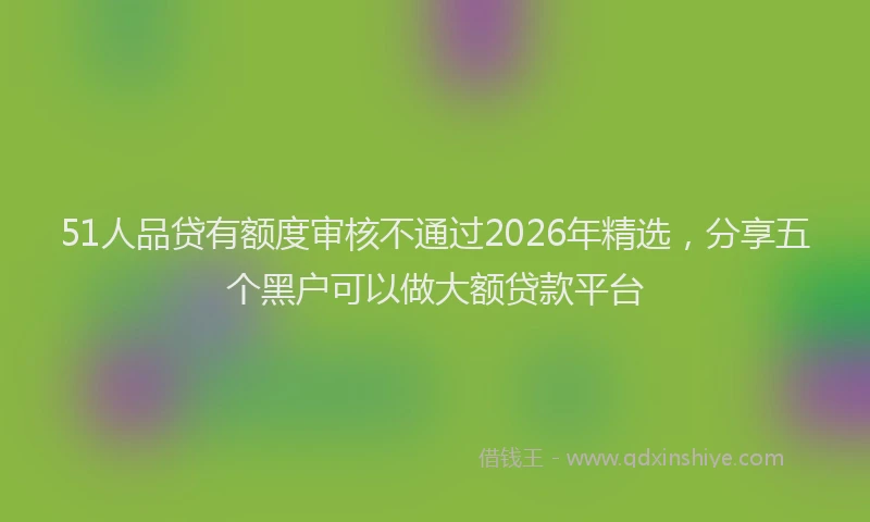51人品贷有额度审核不通过2026年精选，分享五个黑户可以做大额贷款平台