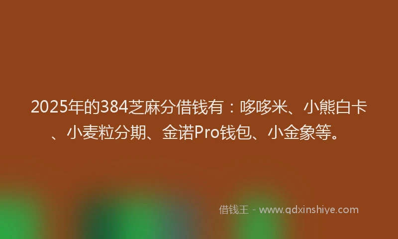 2025年的384芝麻分借钱有：哆哆米、小熊白卡、小麦粒分期、金诺Pro钱包、小金象等。