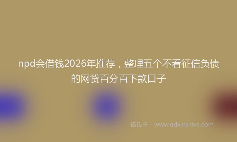 npd会借钱2026年推荐，整理五个不看征信负债的网贷百分百下款口子