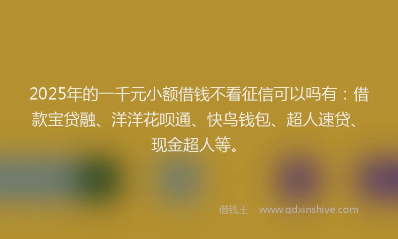 2025年的一千元小额借钱不看征信可以吗有：借款宝贷融、洋洋花呗通、快鸟钱包、超人速贷、现金超人等。