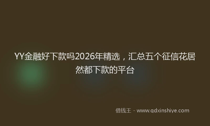 YY金融好下款吗2026年精选，汇总五个征信花居然都下款的平台