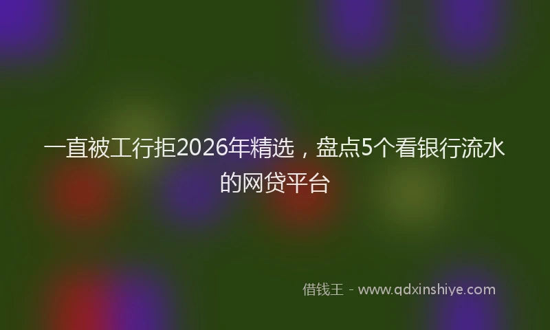 一直被工行拒2026年精选，盘点5个看银行流水的网贷平台