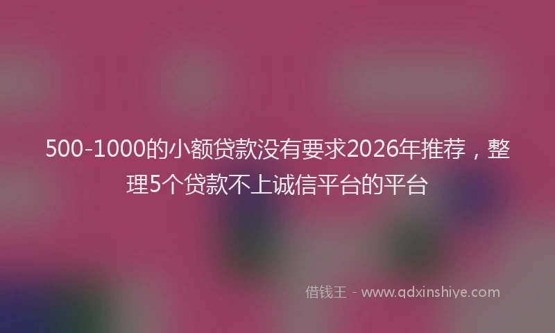 500-1000的小额贷款没有要求2026年推荐，整理5个贷款不上诚信平台的平台