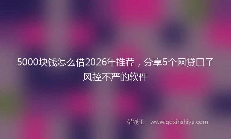 5000块钱怎么借2026年推荐，分享5个网贷口子风控不严的软件
