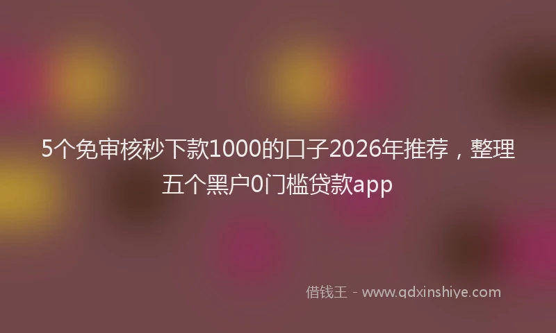 5个免审核秒下款1000的口子2026年推荐，整理五个黑户0门槛贷款app