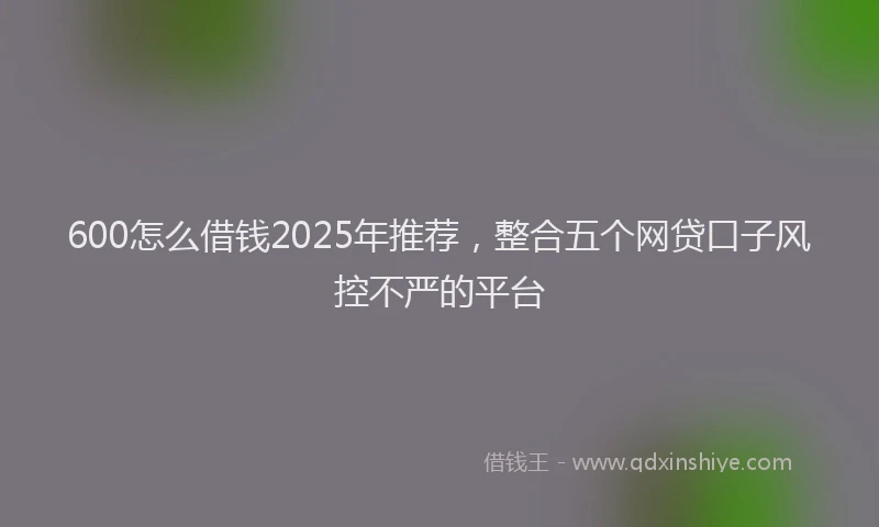 600怎么借钱2025年推荐，整合五个网贷口子风控不严的平台