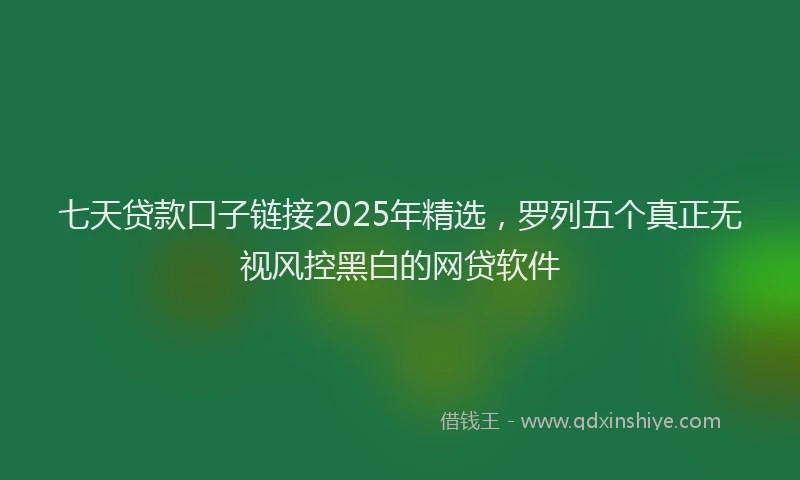 七天贷款口子链接2025年精选，罗列五个真正无视风控黑白的网贷软件