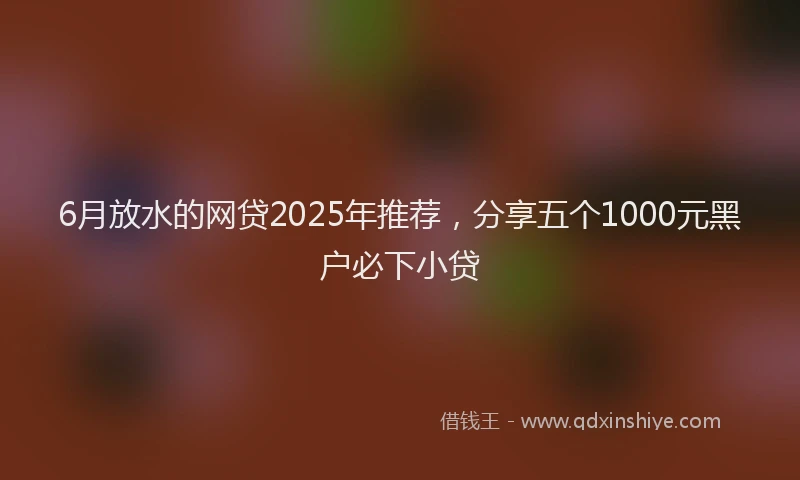 6月放水的网贷2025年推荐，分享五个1000元黑户必下小贷