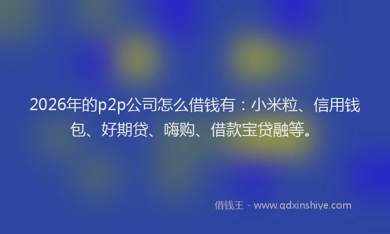2026年的p2p公司怎么借钱有：小米粒、信用钱包、好期贷、嗨购、借款宝贷融等。