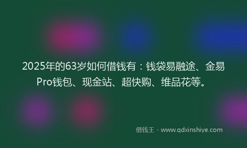 2025年的63岁如何借钱有：钱袋易融途、金易Pro钱包、现金站、超快购、维品花等。