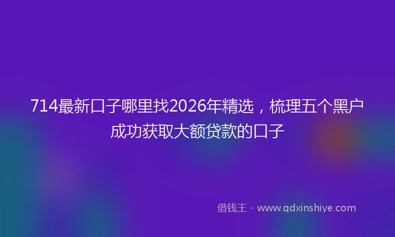 714最新口子哪里找2026年精选，梳理五个黑户成功获取大额贷款的口子