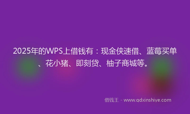 2025年的WPS上借钱有：现金侠速借、蓝莓买单、花小猪、即刻贷、柚子商城等。