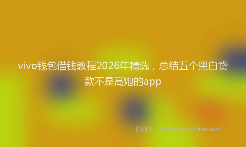 vivo钱包借钱教程2026年精选，总结五个黑白贷款不是高炮的app