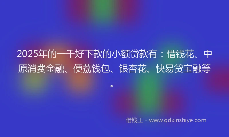 2025年的一千好下款的小额贷款有：借钱花、中原消费金融、便荔钱包、银杏花、快易贷宝融等。